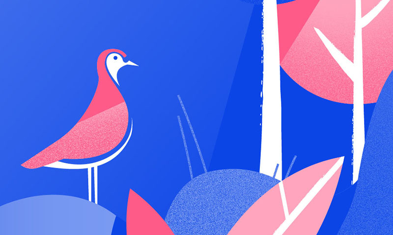 Afgreiðslutímar útibúa Arion banka frá og með 12. maí - mynd