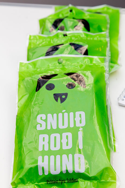 Vörumessa Ungra frumkvöðla - mynd