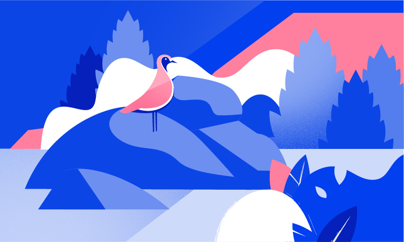 Uppygging og árangur erlendrar hlutabréfastýringar Lífeyrisauka - mynd