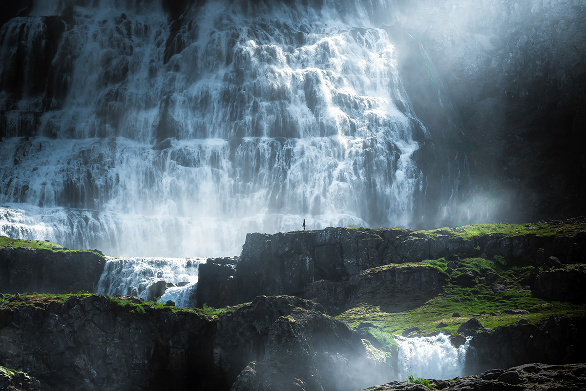 Skýrslur Arion banka fyrir árið 2025 - mynd