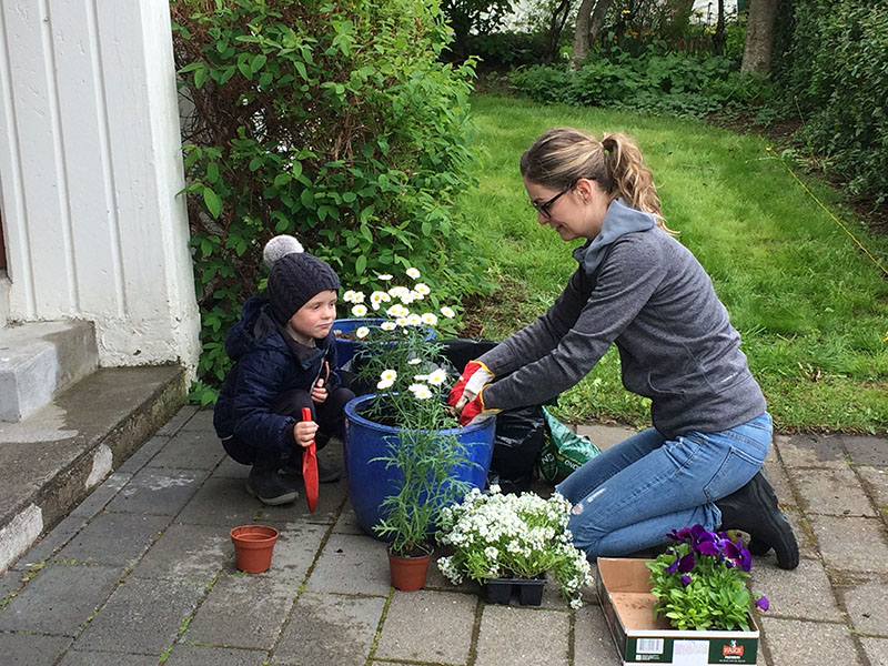 Starfsfólk Arion banka tók til hendinni við sambýli borgarinnar - mynd