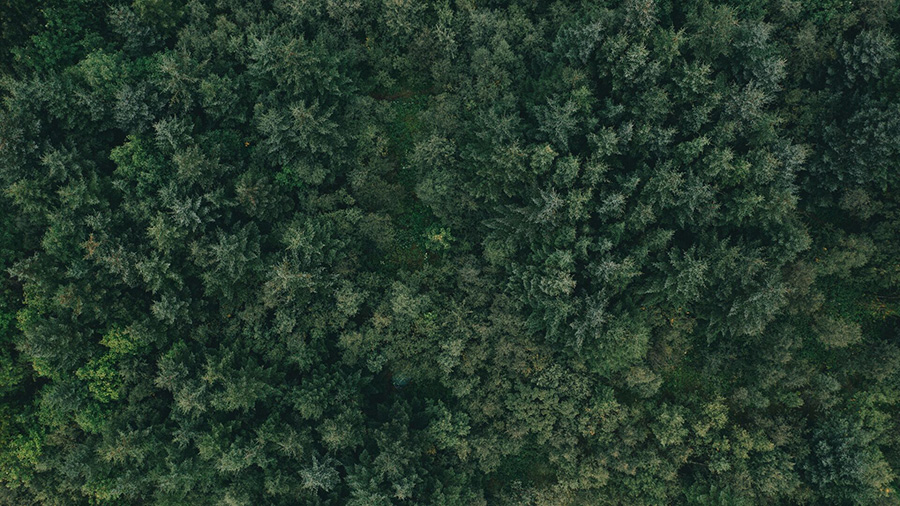 Áhrifa- og úthlutunarskýrsla Arion banka fyrir árið 2022 - mynd